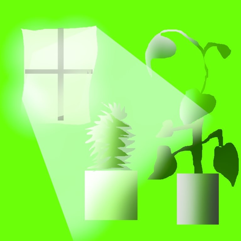 Pflanzen vor Fenster